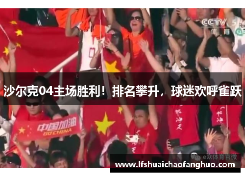 沙尔克04主场胜利！排名攀升，球迷欢呼雀跃