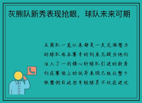 灰熊队新秀表现抢眼，球队未来可期
