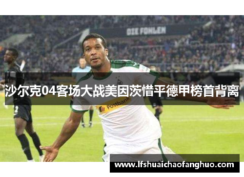 沙尔克04客场大战美因茨惜平德甲榜首背离